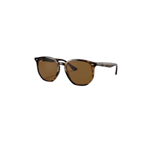 Ray-Ban RB4306 Sunglasses