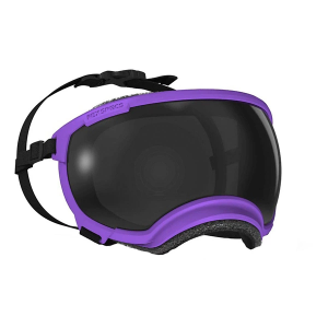 Rex Specs V2 Goggles