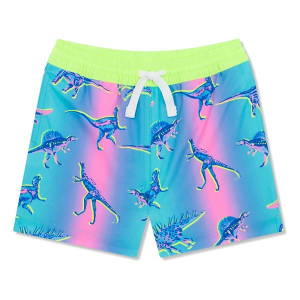 Boys' Chubbies Magic Classic Swim Trunks Large Turquoise