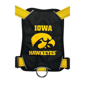 Bay Dog Iowa Hawkeyes Dog Harness