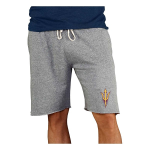 Arizona State Sun Devils Concepts Sport Mainstream Shorts Large Gray