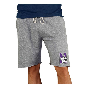 Northwestern Wildcats Concepts Sport Mainstream Shorts Small Gray