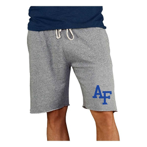 Air Force Falcons Concepts Sport Mainstream Shorts 2XLarge Gray