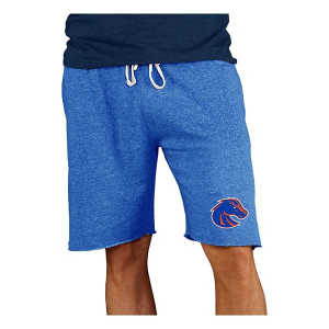 Boise State Broncos Concepts Sport Mainstream Shorts Small Royal