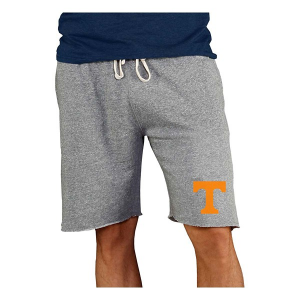 Tennessee Volunteers Concepts Sport Mainstream Shorts XLarge Gray
