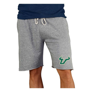 South Florida Bulls Concepts Sport Mainstream Shorts Small Gray
