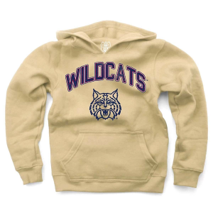 Arizona Wildcats Wes and Willy Kids Hoodie Large Stone