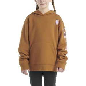 Girls' Carhartt Graphic I Hoodie Small Cardinal Brown