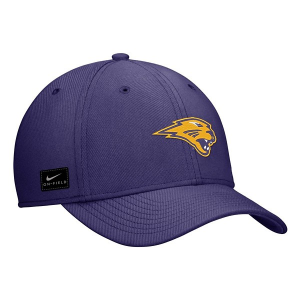 Northern Iowa Panthers Nike Rise Flex Flexfit Hat M/L Purple