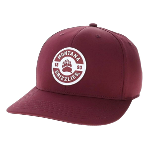 Montana Grizzlies Legacy Athletic Back 9 Token Adjustable Hat One Size Maroon