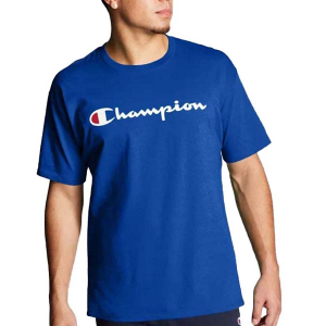 Men's Champion Classic Graphic T-Shirt Small Surf The Web