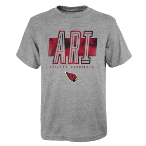 Kids' Arizona Cardinals Genuine Stuff Abbreviated T-Shirt XLarge Heather Grey