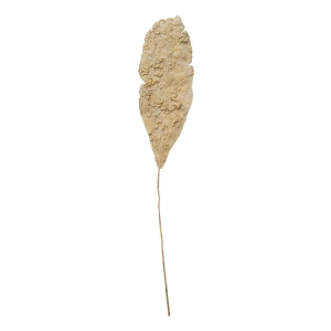 Creative Co-Op 59in Faux Leaf, Plaster Finish