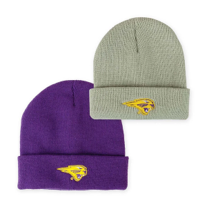 Northern Iowa Panthers Authentic-Brand Northern Iowa Logo Addison 2 Pack Kids' Beanie One Size Purple