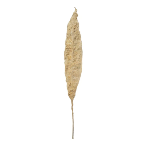 Creative Co-Op 49in Faux Leaf, Plaster Finish