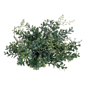 Sullivans Blue Boxwood Orb