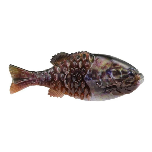 PowerBait Gilly