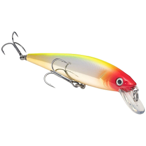 Strike King KVD 200 Jerkbait