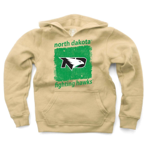 North Dakota Fighting Hawks Wes and Willy Toddler Hoodie 2T Stone