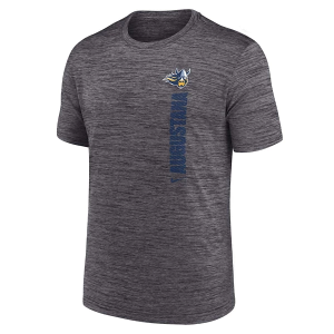 Augustana Vikings Nike 2024 Velocity Kids' T-Shirt Small Dark Grey