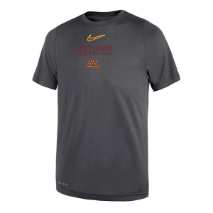 Minnesota Golden Gophers Nike Legend Motion Toddler T-Shirt 3T Anthracite
