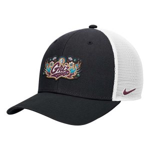 Montana Grizzlies Nike N7 Trucker Rise Flexfit Hat M/L Black
