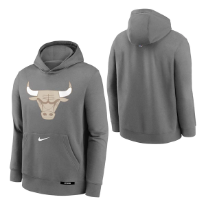 Kids' Chicago Bulls Nike 2024 City Edition Logo Hoodie Large Grey Heather