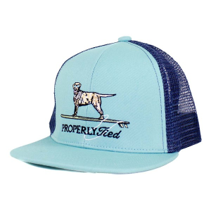 Boys' Properly Tied Surfing Dog Snapback Hat One Size Blue