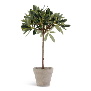 K&K Interiors 13in Potted Olive Tree