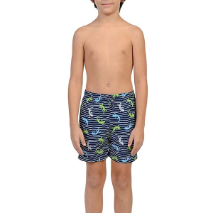 Boys' Ingear Printed Swim Trunks Toddler 4T Gecko Stripe