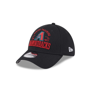 Arizona Diamondbacks New Era 2025 Spring Training 39Thirty Flexfit Hat M/L Black