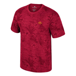 Iowa State Cyclones Colosseum Groves T-Shirt XLarge Cardinal