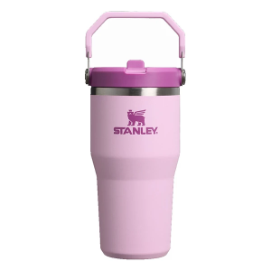 Stanley IceFlow 20 oz Flip Straw Tumbler