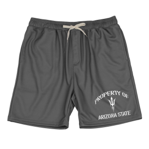 Wes And Willy Arizona State Sun Devils Wes and Willy Vintage Kids' Shorts Medium Castlerock - $16.99 at SCHEELS