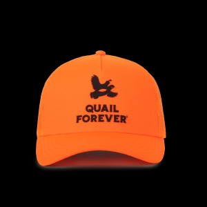 Outdoor Cap Company Adult Outdoor Cap Company Pheasants Forever Blaze Snapback Hat - $14.99 at SCHEELS