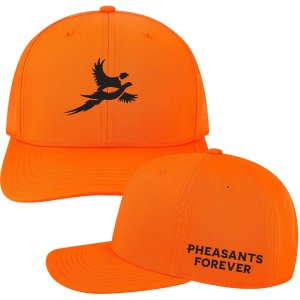 Adult Pheasants Forever Icon Hat