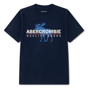 Abercrombie Kids Boys' abercrombie kids Y2K Core Logo T-Shirt - $12.99 at SCHEELS