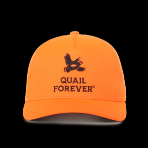 Outdoor Cap Company Adult Outdoor Cap Company Quail Forever Blaze Snapback Hat - $9.99 at SCHEELS