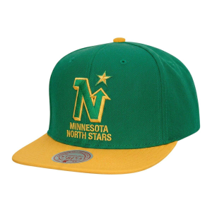 Mitchell And Ness Mitchell and Ness Minnesota North Stars Throwback Snapback Hat - $15.99 at SCHEELS