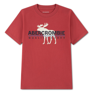 Boys' abercrombie kids Y2K Core Logo T-Shirt