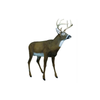 Flambeau Master Series Boss Buck Decoy