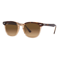 Men's Ray-Ban Hawkeye Sunglasses Polished Havana On Transparent Brown/Brown Polarized