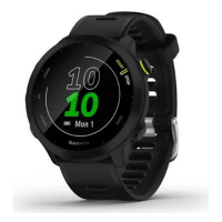 Garmin Forerunner 55 GPS Watch