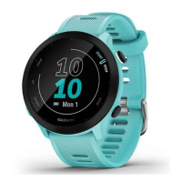 Garmin Forerunner 55 GPS Watch