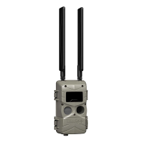 Cuddeback Tracks LTE Trail Camera