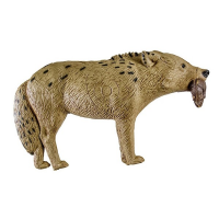 Rinehart Woodland Coyote 3D Archery Target