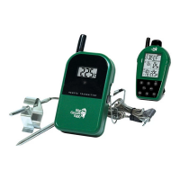 Big Green Egg Dual-Probe Wireless Thermometer