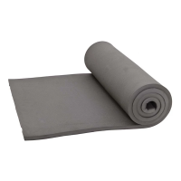 ALPS Mountaineering Foam Mat