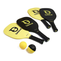 Spikeball SpikePaddle Kit