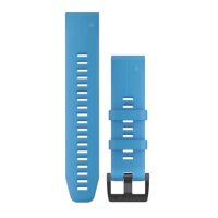 Garmin Quick Fit 22 Watch Band